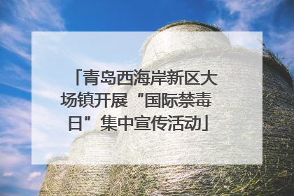 青岛西海岸新区大场镇开展“国际禁毒日”集中宣传活动